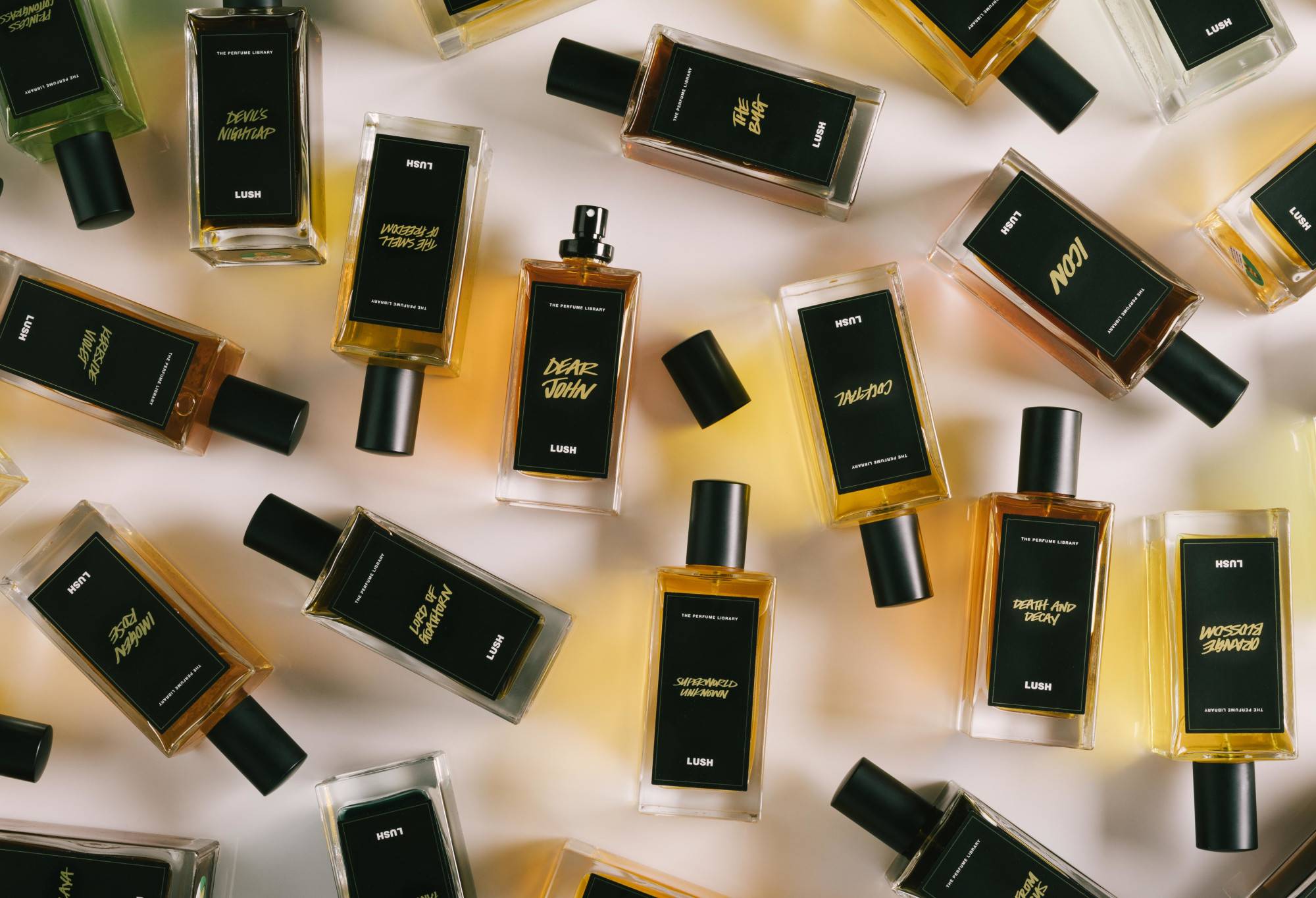 EAFCB113-26A9-2A28-7622-9892812D7281